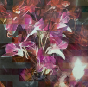 Bloom - by Enda O'Donoghue - (2026) Oil on Canvas, 70 x 70 cm