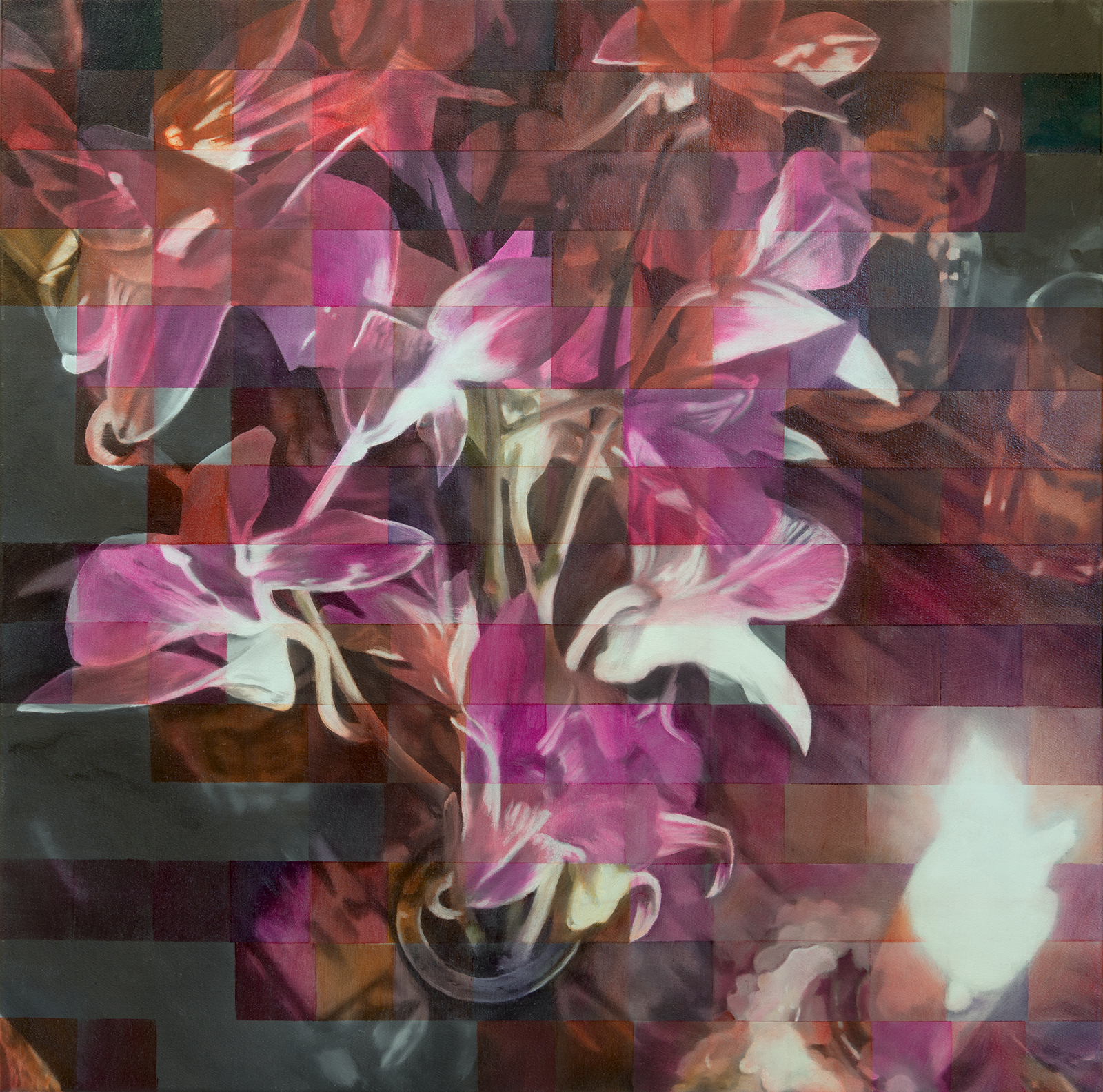 Bloom - by Enda O'Donoghue - (2026) Oil on Canvas, 70 x 70 cm